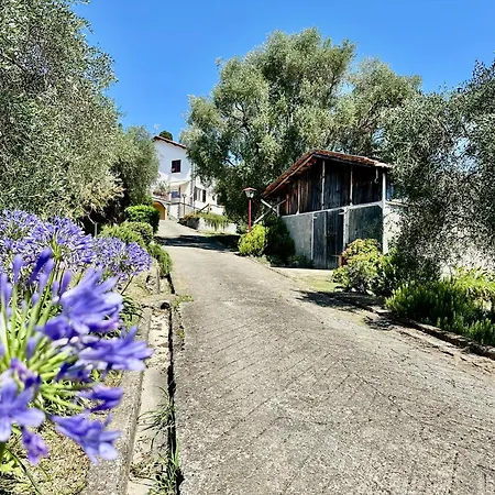 Agriturismo Uliveto Bartolomeo-3